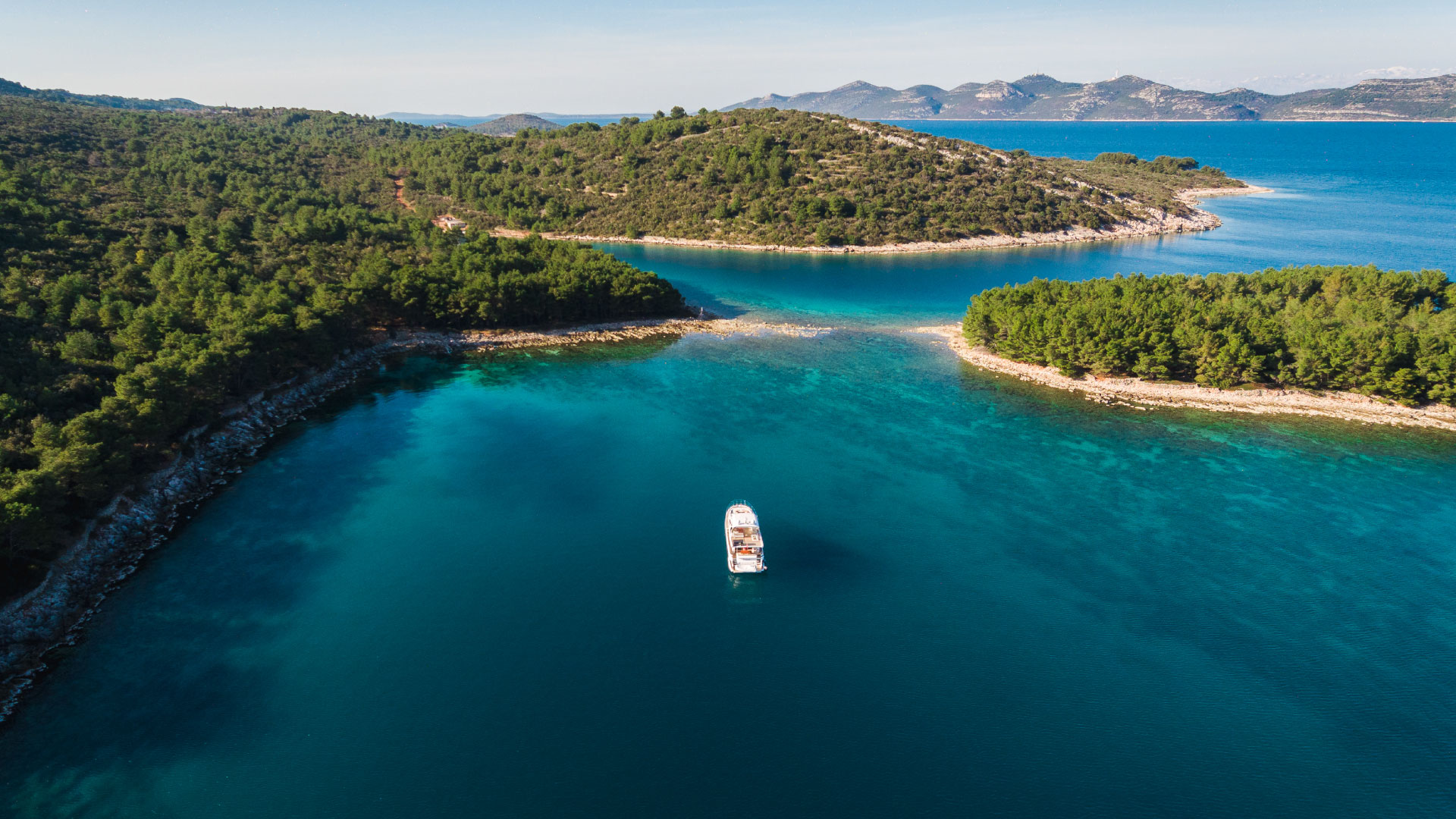 Island Ošljak